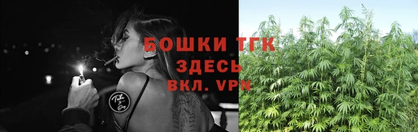 амф Магадан