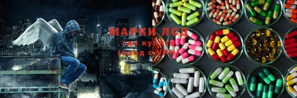 сатива Абинск