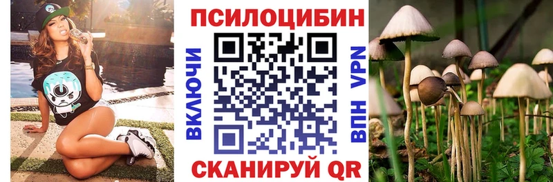 нарко площадка Telegram Нальчик Псилоцибиновые грибы мицелий