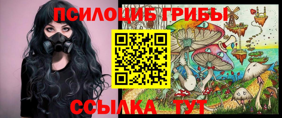 Псилоцибиновые грибы ЛСД Нальчик
